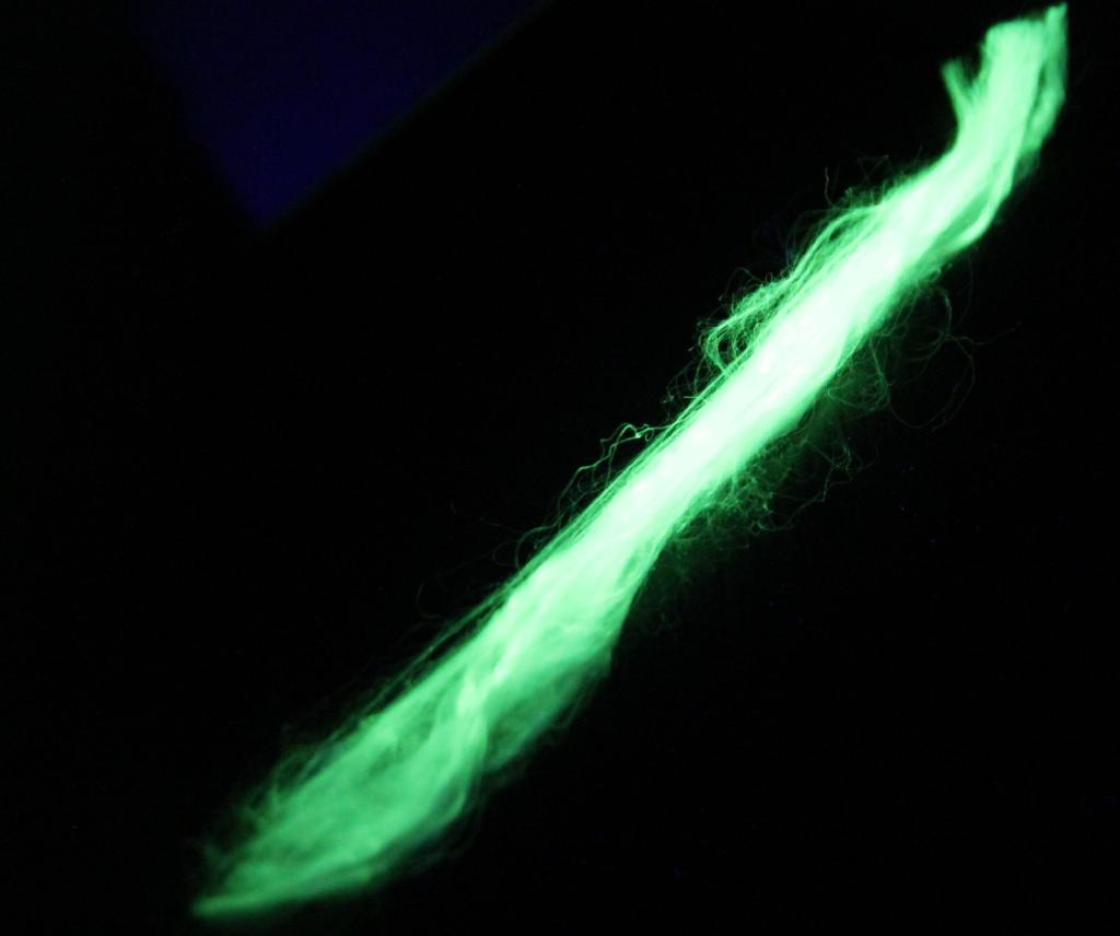 Włókno modyfikowane nanoluminoforem - wzbudzone (naświetlone) promieniowaniem UV. Źródło: Agata Szczeszak