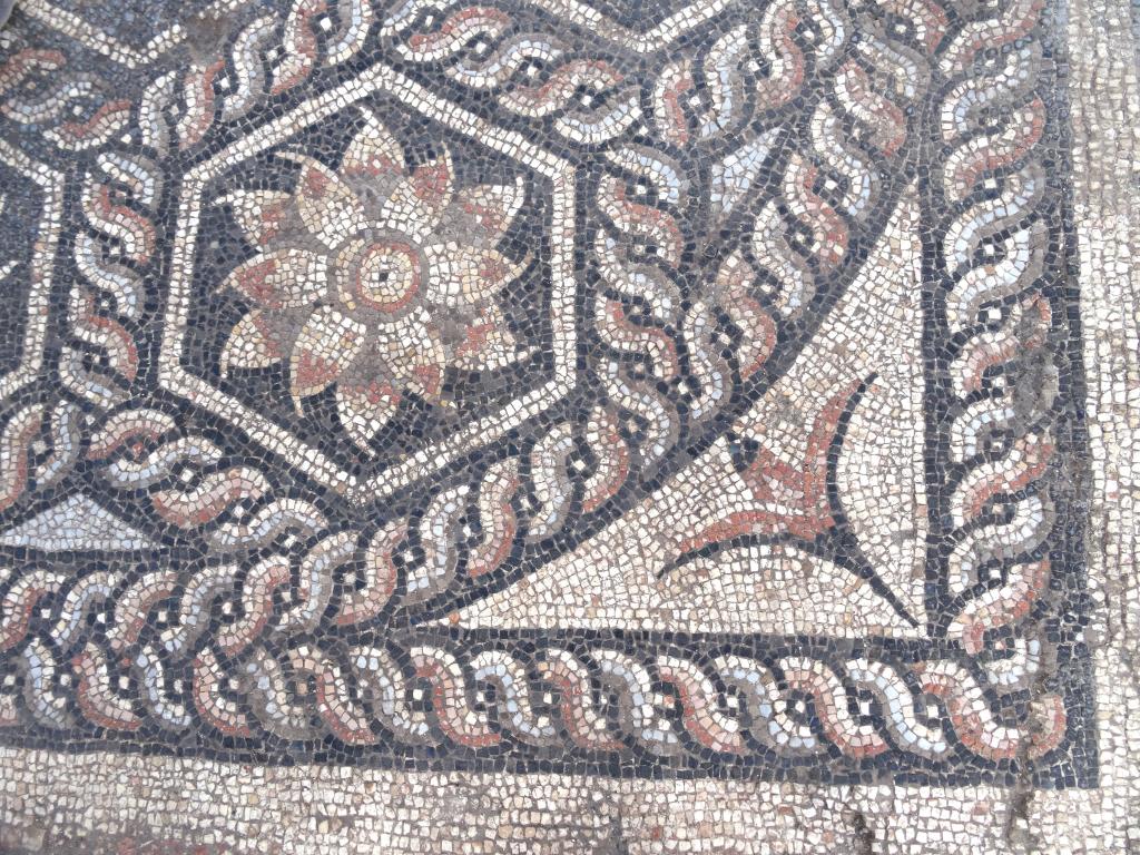 Mozaika odkryta w Aleksandrii. Fot. G.Majcherek/ CAŚ UW