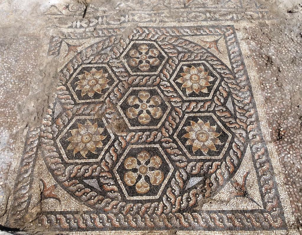 Mozaika odkryta w Aleksandrii. Fot. G.Majcherek/ CAŚ UW