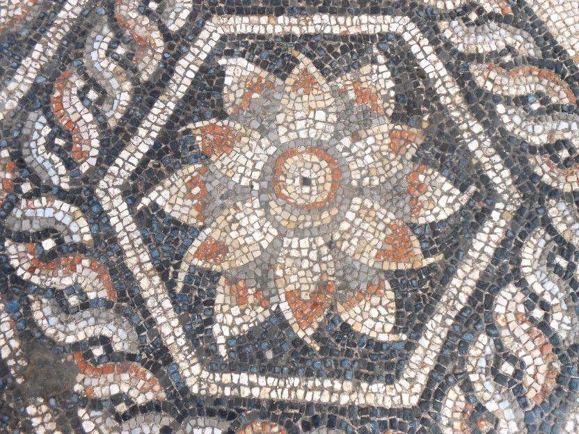 Mozaika odkryta w Aleksandrii. Fot. R.Kucharczyk/ CAŚ UW