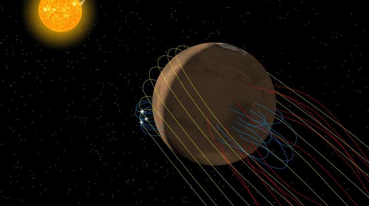 Rysunek pokazuje złożone pole magnetyczne Marsa. Żółte linie to linie pola magnetycznego niesionego przez wiatr słoneczny, a niebieskie to pola magnetyczne związane z powierzchnią planety. Czerwone linie to pole magnetyczne po rekonseksji obu tych przypadków. Źródło: Anil Rao/Univ. of Colorado/MAVEN/NASA GSFC.