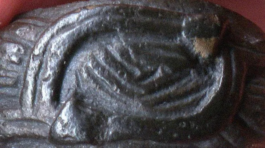 Medieval ring (after conservation), which came from the eastern Alps to the territories of the Piast state a thousand years ago. Credit: M. Tuszyński.