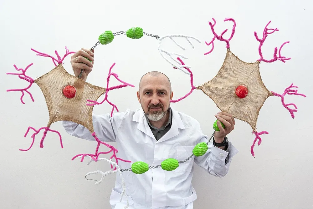 Neurons create a unique network that is damaged when affected by Alzheimer's disease. Source: IPC PAS, photo: Grzegorz Krzyzewski