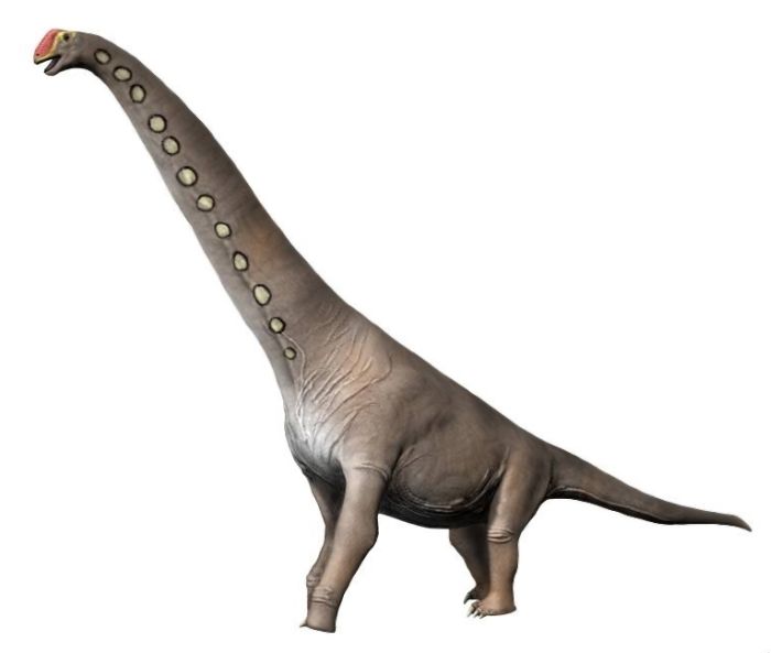 brachtiosaurus