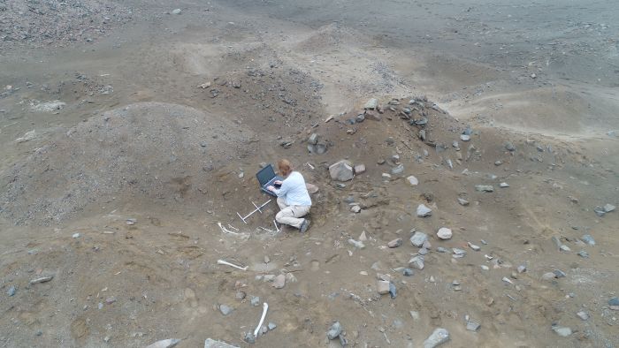 Dr Justyna Marchewka - Długońska w trakcie analizy wyrabowanych szczątków ludzkich El Porvenir. Źródło: Łukasz Majchrzak