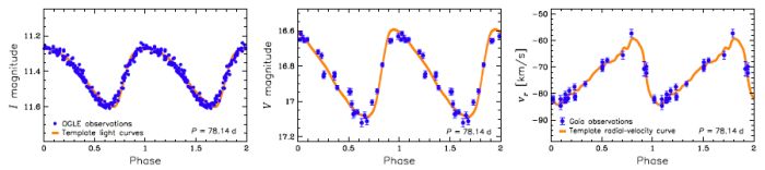 Niebieskie punkty przedstawiają obserwowane zmiany jasności cefeidy OGLE-GD-CEP-1884 w paśmie czerwonym (część lewa) i paśmie żółtym (wizualnym – część środkowa) oraz krzywą zmian prędkości atmosfery gwiazdy na skutek pulsacji (część prawa). Pomarańczowe krzywe przedstawiają modelowe krzywe blasku i krzywą prędkości obliczone dla cefeidy o okresie pulsacji 78,14 dni. Bardzo dobra zgod-ność między obserwowanymi a teoretycznymi danymi dowodzi tego, że OGLE-GD-CEP-1884 jest cefe-idą klasyczną (Autor: I. Soszyński