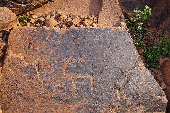 Petroglyph depicting an ibex