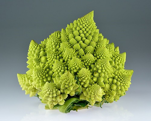 Brokuł romanesco, domena publiczna, Wikipedia, autor: Ivar Leidus