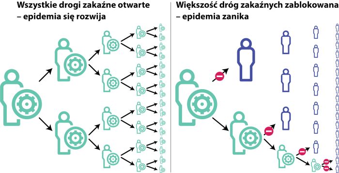 Jak zaczynają i kończą się pandemie?