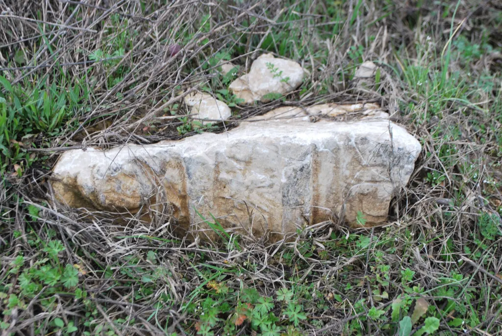 Fragment steli - stan w momencie odkrycia, fot. T. Dziurdzik