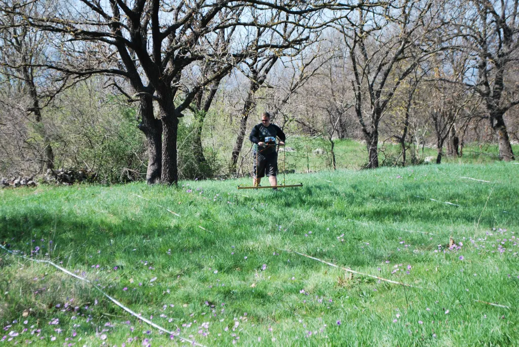 Tak wygląda obecnie centralna część odkrytej przez Fialę willi - po wykopaliskach zasypano wykopy archeologiczne. Na zdjęciu Michał Pisz w czasie badań geofizycznych, fot. T. Dziurdzik 