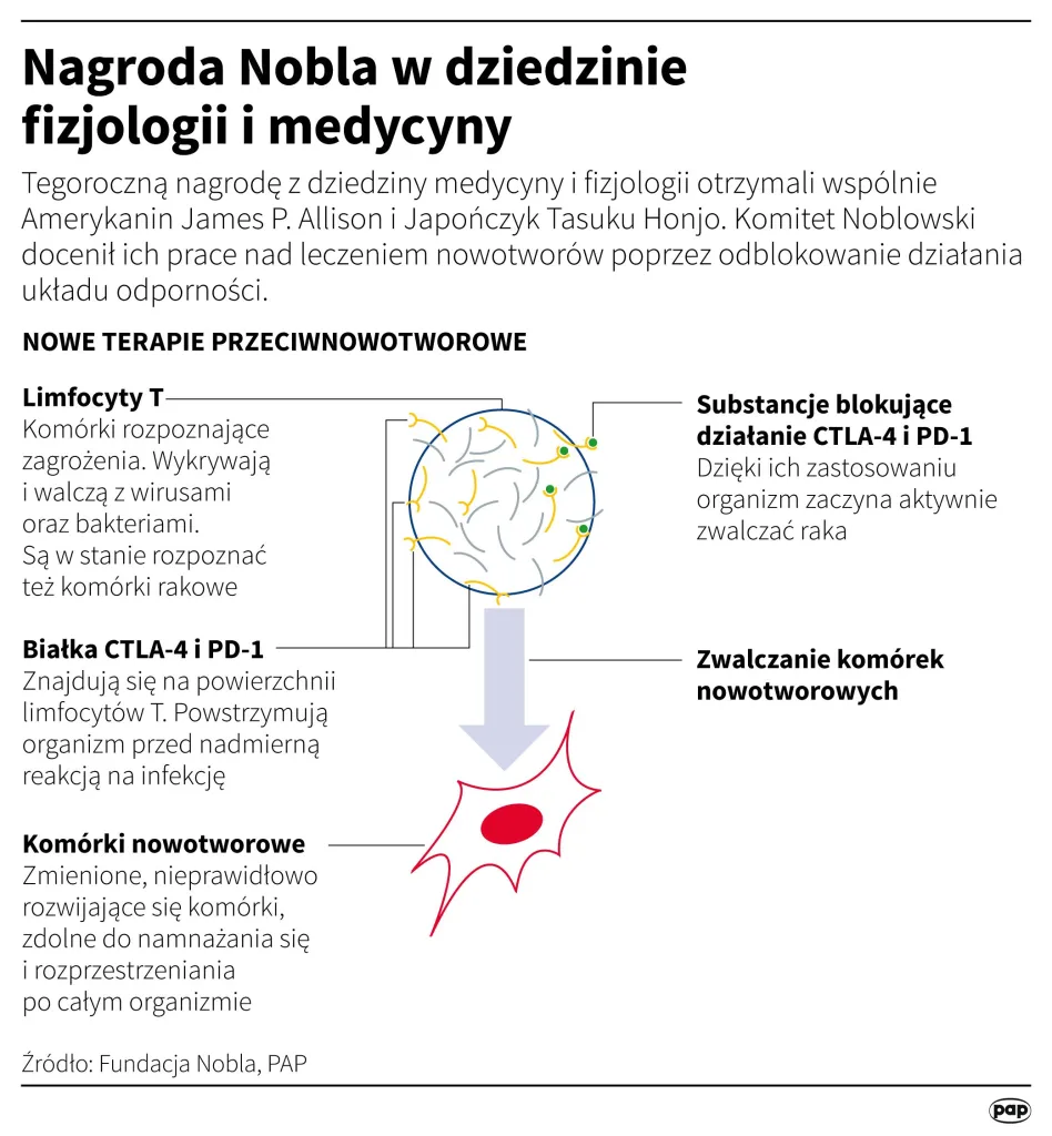 Źródło: Infografika PAP/ Maciej Zieliński