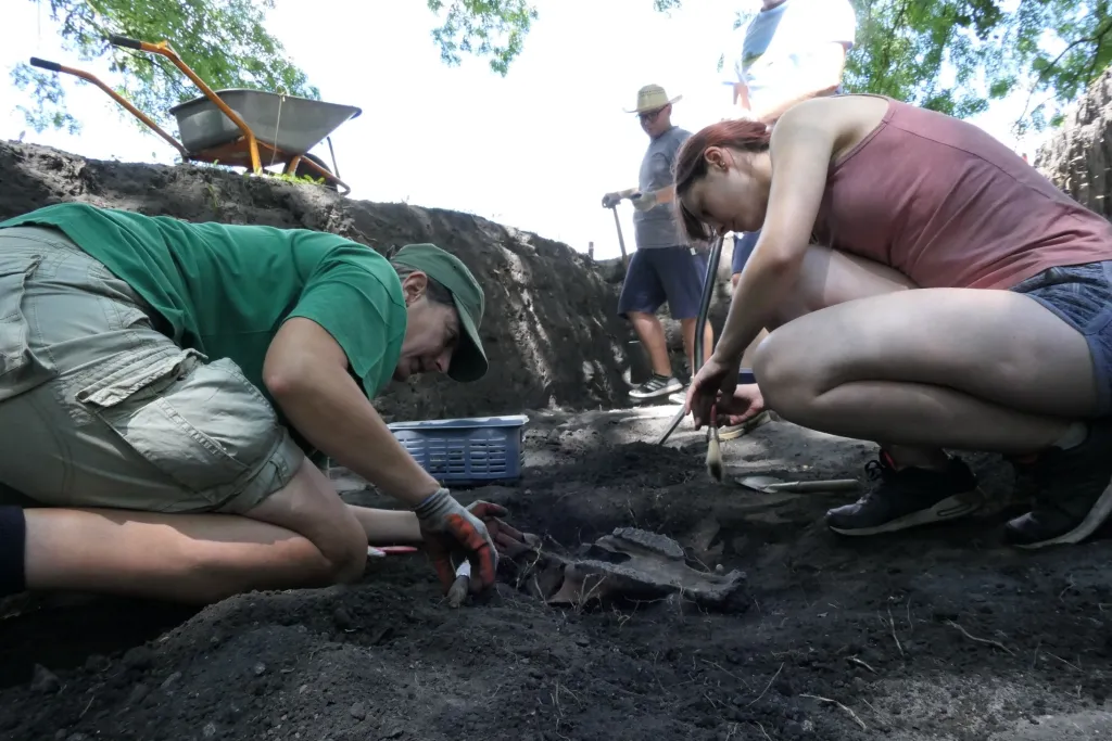 Archeolodzy w czasie odkrycia czaszki zwierzęcej. Fot. J. Wrzesiński.