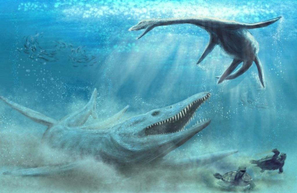 Bone Fragments of Huge Sea Predators from 150 Million Years Ago Discovered  near Iłża | Science in Poland