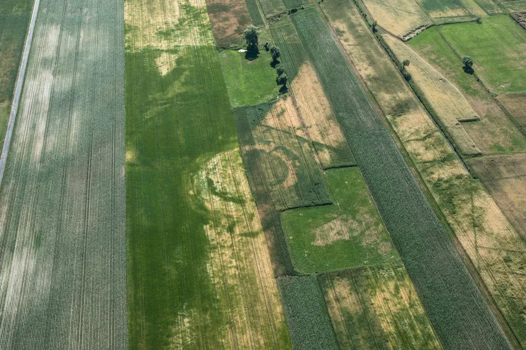 Archeolodzy nie tylko namierzyli nieznane grodziska, ale też zadokumentowali te widniejące w ewidencji konserwatorskiej. Grodzisko w Chlewie. Fot. M.Mackiewicz