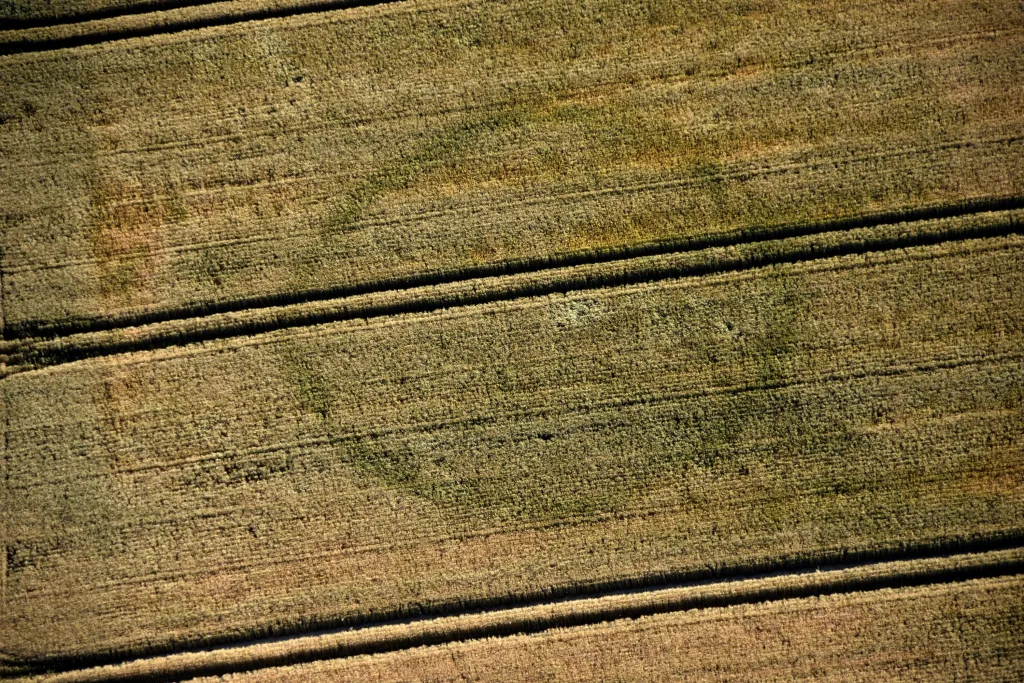  Relikty kolistego kurhanu w okolicach Oławy, woj. dolnośląskie [badania dla Uniwersytetu Wrocławskiego].Fot. P. Wroniecki / archeolot.pl  