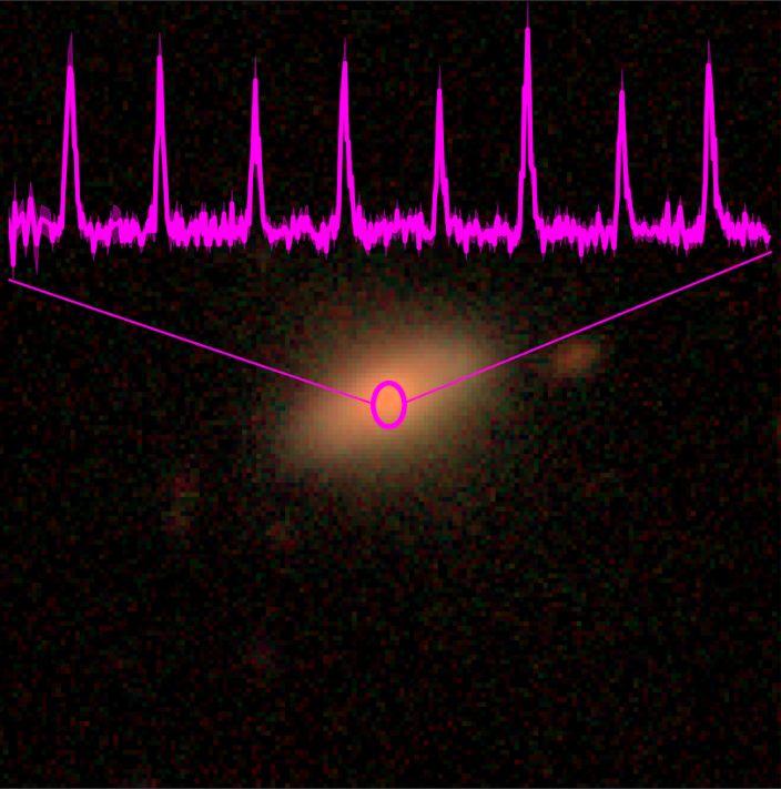 Zdjęcie w zakresie optycznym drugiej galaktyki, w której odkryte zostały pseudo-okresowe erupcje podczas przeglądu nieba realizowanego przez teleskop rentgenowski eROSITA. Różowym kolorem narysowana jest rentgenowska krzywa blasku uzyskana teleskopem XMM-Newton. Galaktyka oznaczona jest jako 2MASX J02344872-4419325, a jej przesunięcie ku podczerwieni wynosi z~0.02. Obserwowane impulsy są znacznie węższe niż w przypadku pierwszego źródła. Okres wynosi około 2.4 godziny. Źródło: MPE; zdjęcie galaktyki: DESI L