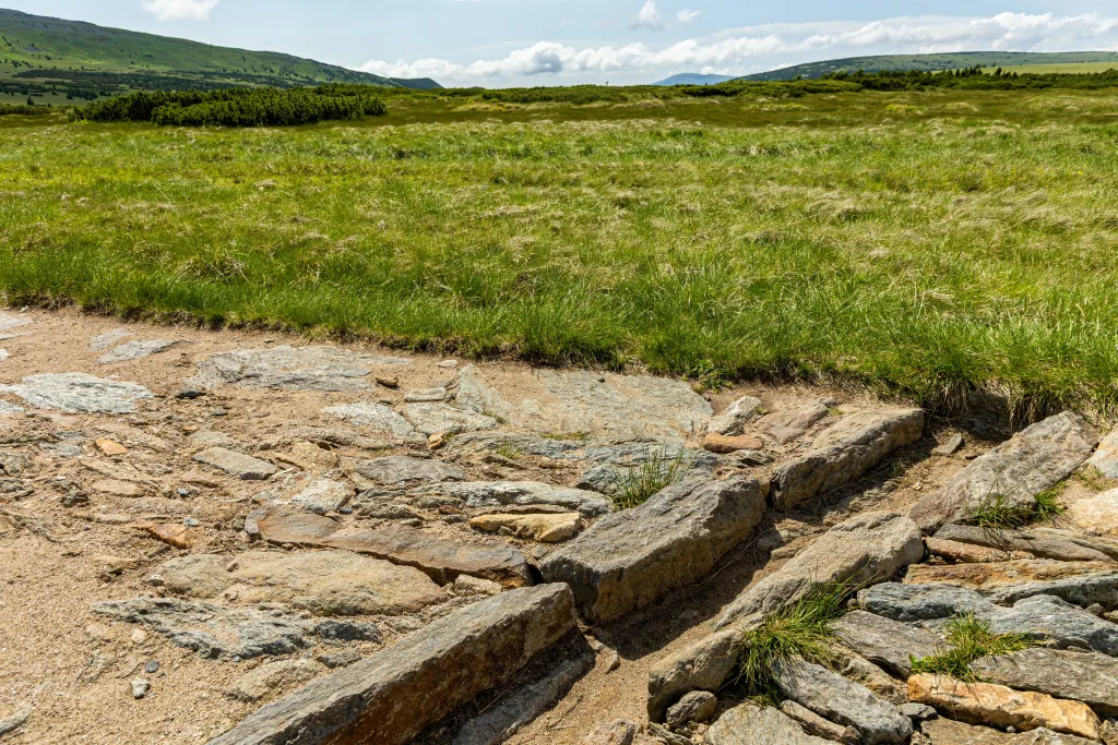 Karpacz, 01.07.2022. Na zdjęciu z 30 czerwca br. torfowisko na Równi pod Śnieżką. Fot.  PAP/Aleksander Koźmiński