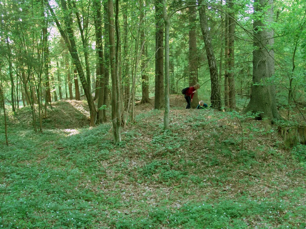 Weryfikacja powierzchniowa wczesnośredniowiecznych kurhanów w uroczysku Teremiski-Dąbrowa. Wiosna 2006 r. Fot. D. Krasnodębski