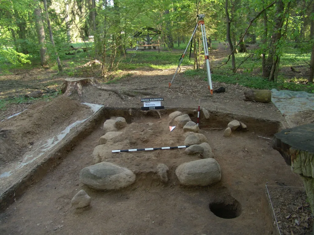 Fundament jednego z pieców z królewskiego dworu łowieckiego w uroczysku Stara Białowieża. Wiosna 2006 r. Fot. D. Krasnodębski