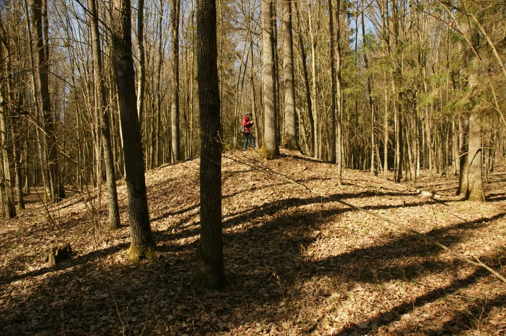 Jeden z kopców ziemnych w uroczysku Szadzkie. Wiosna 2015 r. Fot. D. Krasnodębski