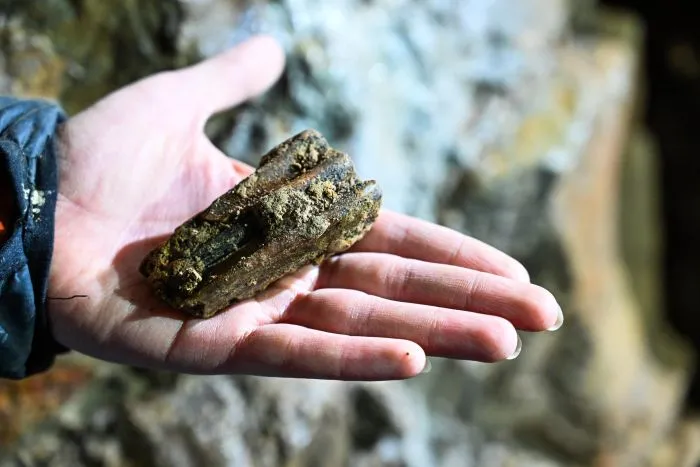  7.02.2024. Prace w jaskini Raj w okolicy Chęcin prowadzone przez pracowników naukowych Wydziału Archeologii Uniwersytetu Warszawskiego. Podczas pierwszego etapu prac, który trwa od 4 lutego br., badacze odnaleźli liczne szczątki zwierząt plejstoceńskich. PAP/Piotr Polak