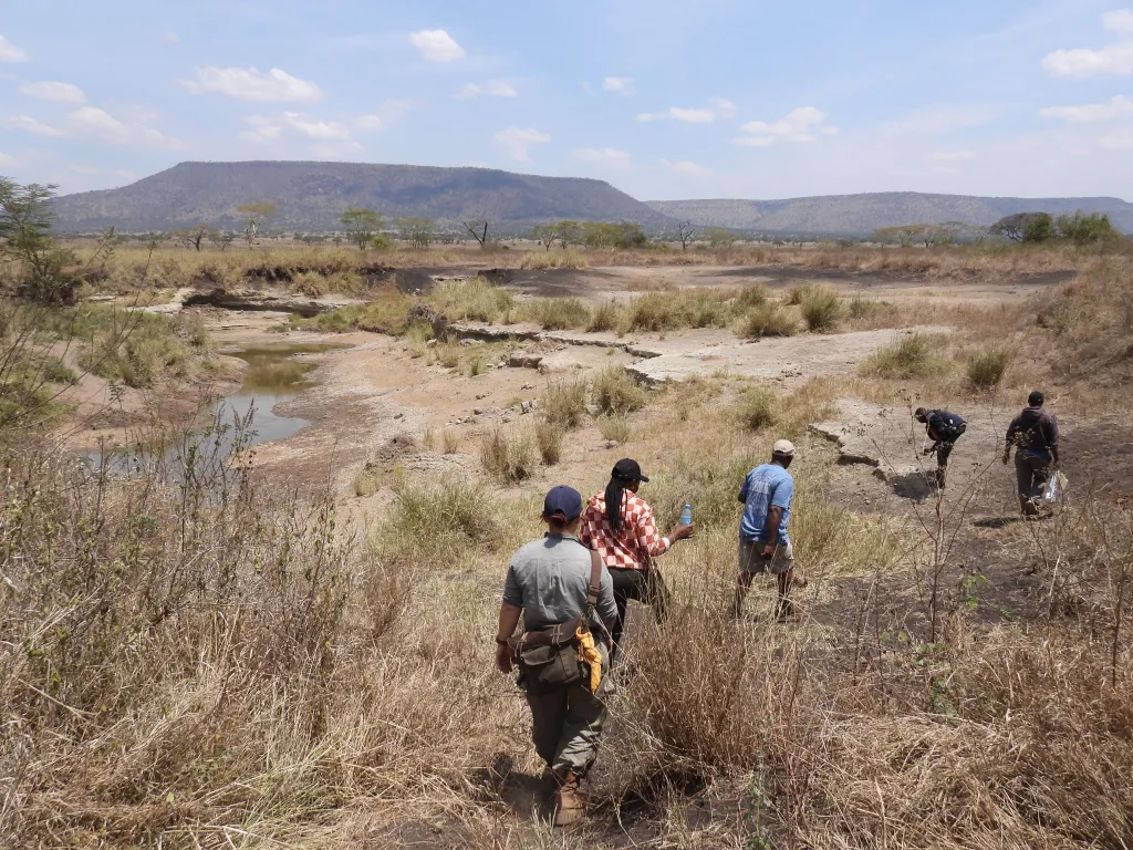 Serengeti. Fot. prof. Marta Osypińska 