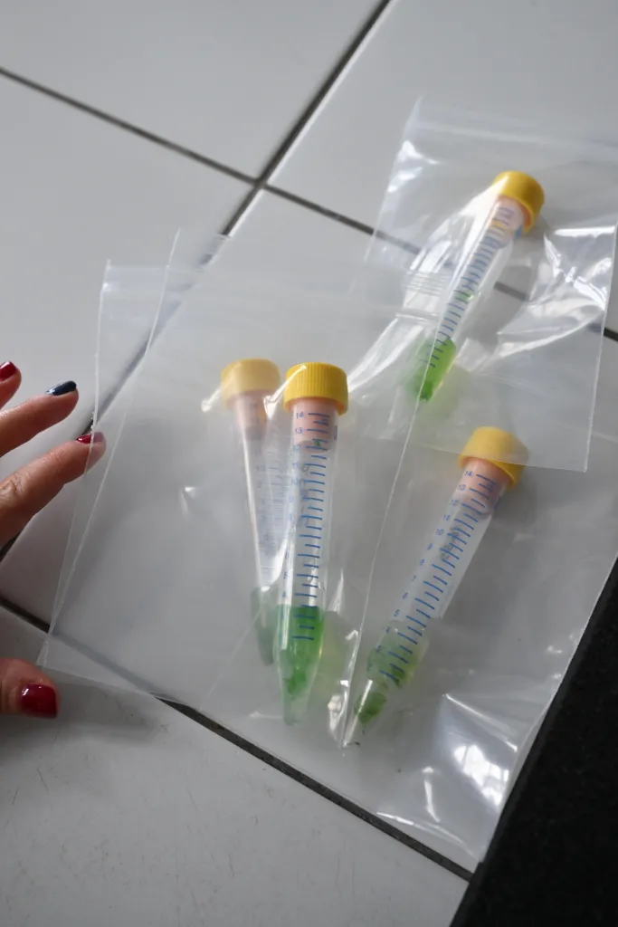 Wrocław, 23.07.2025. Spotkanie dla mediów w laboratoriach PW, 23 bm. W trakcie wydarzenia zostały zaprezentowane próbki, poddawane eksperymentom w przestrzeni kosmicznej podczas misji Ignis z udziałem polskiego astronauty Sławosza Uznańskiego-Wiśniewskiego. (mk/amb) PAP/Maciej Kulczyński