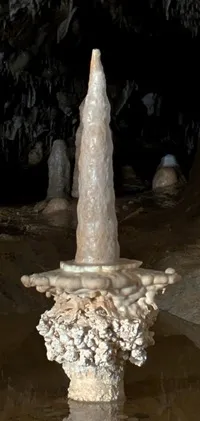 Stalagmit stożkowy, Jaskinie Sloupsko-šošůvské, Czechy – jeden z trzech idealnych kształtów opisanych przez model wzrostu. Fot: Piotr Szymczak