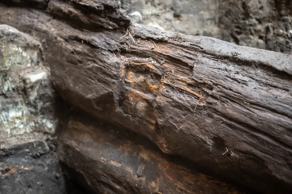 Toruń, 19.11.2025. Fragment nieznanych wcześniej drewnianych konstrukcji z XIII wieku, 19 bm. w Toruniu. Konstrukcje odkryte zostały podczas badań archelogocznych na dziedzińcu Domu Mikołaja Kopernika w Toruniu. To jedne z najstarszych takich znalezisk w mieście. Konstrukcje trafią do konserwacji i staną się elementem przyszłej wystawy stałej muzeum. (mr) PAP/Tytus Żmijewski