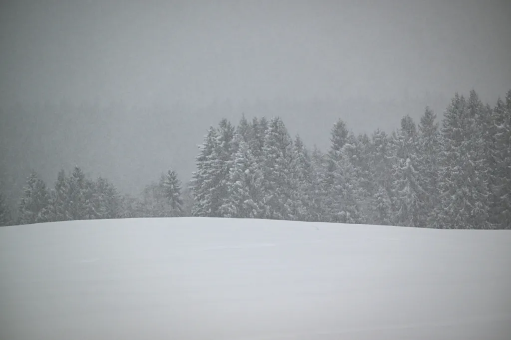11.01.2026. Mroźna i śnieżna zima w miejscowości Lutowiska w Bieszczadach. PAP/Darek Delmanowicz