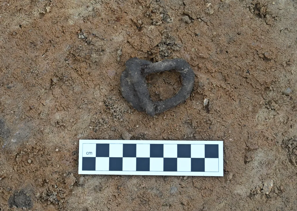 Stare miasto - sprzączka ze zniszczonego grobu. Fot. A. Koperkiewicz, K. Niedźwiecki, M. Marczewski, P. Wroniecki.  Źródło: Instytut Archeologii UG