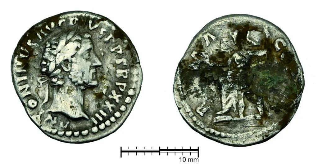 Stare miasto- denar rzymski. Fot. A. Koperkiewicz, K. Niedźwiecki, M. Marczewski, P. Wroniecki.  Źródło: Instytut Archeologii UG