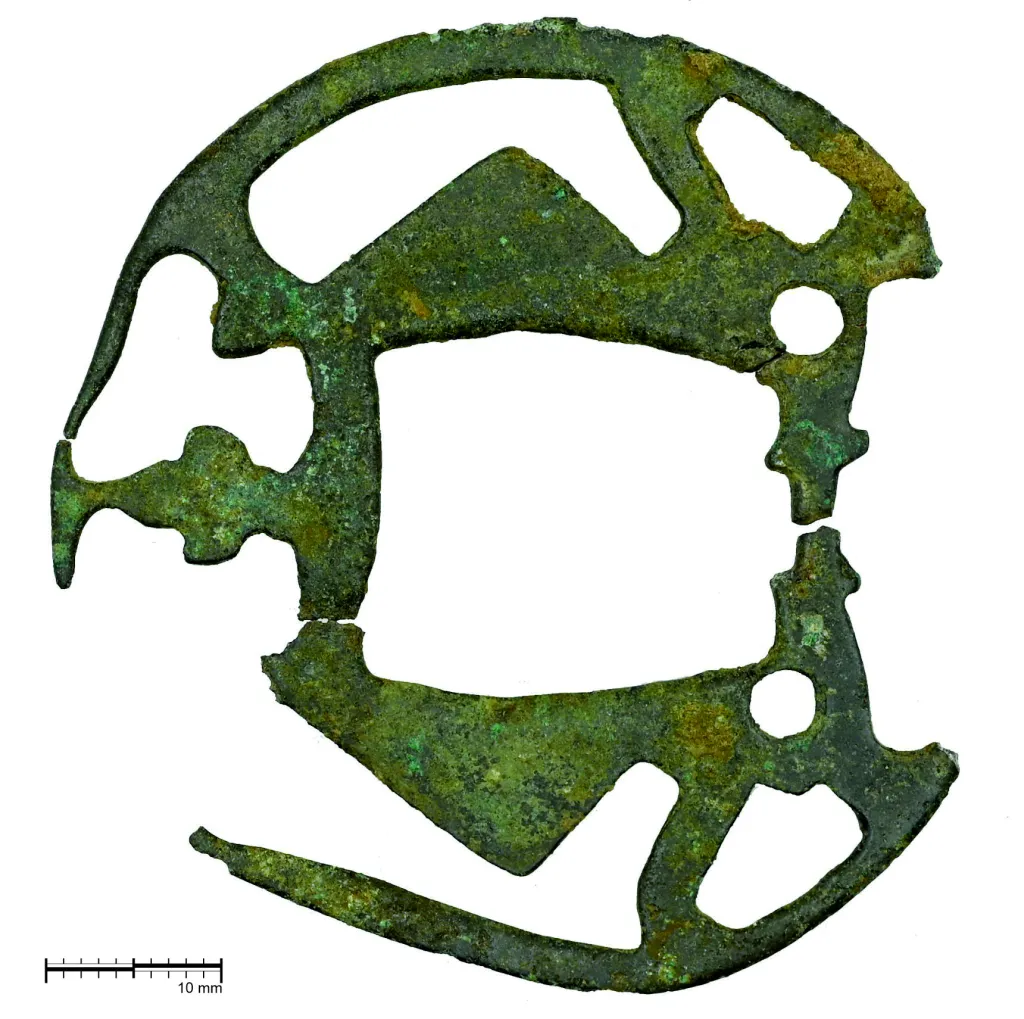 Fot. A. Koperkiewicz, K. Niedźwiecki, M. Marczewski, P. Wroniecki.  Źródło: Instytut Archeologii UG