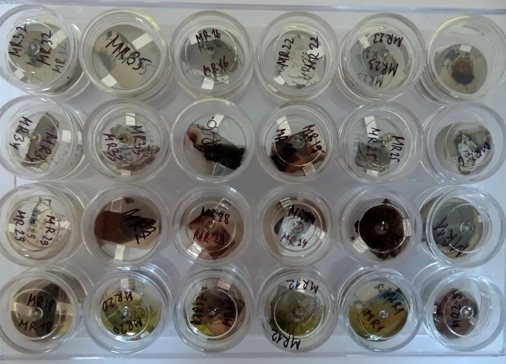 Źródło: Evgeny Galuskin