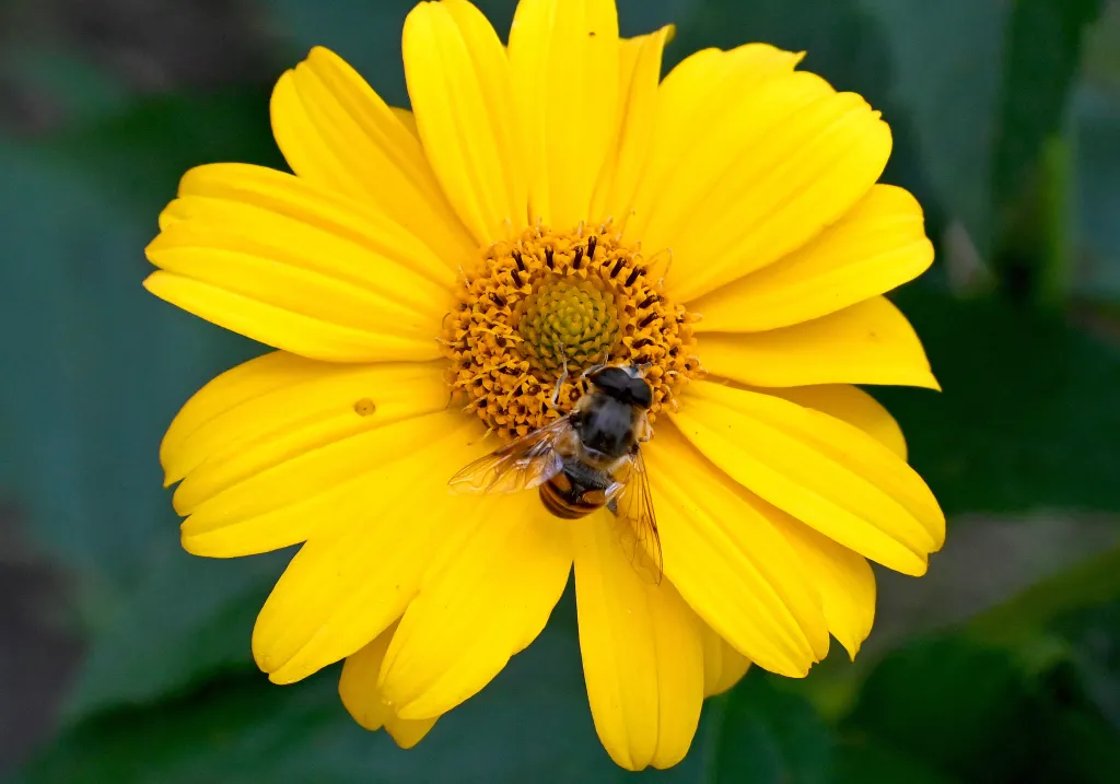 18.08.2022PAP/Marcin Bielecki