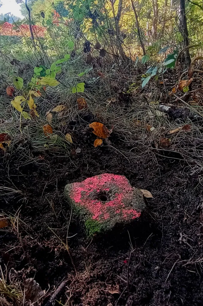 Współczesny słupek znaku poziomej osnowy geodezyjnej. Źródło Mariusz Meus