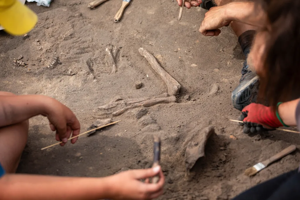  02.09.2026. Prace na stanowisku archeologicznym w miejscowości Żórawina k. Wrocławia, 2 bm. Prace pod kierunkiem szefa Zakładu Archeologii Epoki Brązu i Wczesnej Epoki Żelaza Uniwersytetu Wrocławskiego prof. Tomasza Gralaka mają za zadanie ustalenie pochodzenia odnalezionych osób, wyjaśnienie ich wzajemnych relacji oraz dostarczenie informacji o społecznościach, które około 2900 r. p.n.e. pojawiły się na terenie dzisiejszego Dolnego Śląska. (amb) PAP/Krzysztof Ćwik 