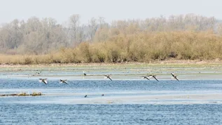 Fot. PAP/ Lech Muszyński 26.03.2020