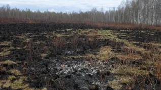 Wroceń, 25.04.2020. Dogaszanie pożaru w BPN w pobliżu wsi Wroceń, (ar/awol) PAP/Artur Reszko