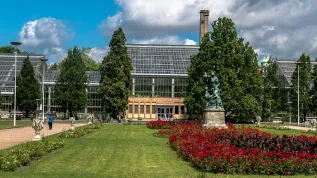 Poznań - Park Wilsona, Palmiarnia. Źródło: Adobe Stock