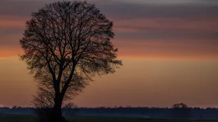 07.03.2025. Zachód słońca nad polami. PAP/Wojtek Jargiło