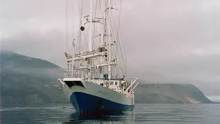 Źródło: Patiocean/ Wikipedia/ CC BY 2.5