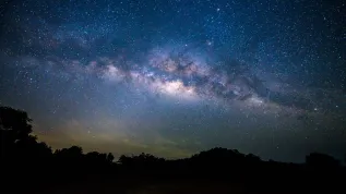 Fot. Adobe Stock