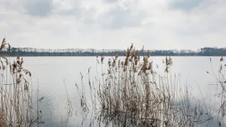10.03.2016. PAP/Maciej Kulczyński