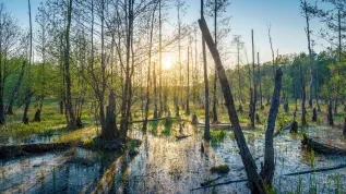 Fot. Adobe Stock