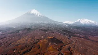Fot. Adobe Stock