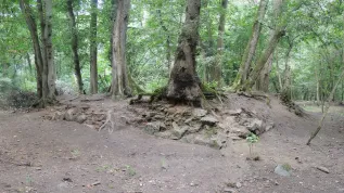 Widok reliktów jednego z budynków sąsiadującego z Pałacem Myśliwskim (fot. R. Solecki)