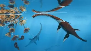 Ilustracja Plesionectes longicollum; autor Peter Nickolaus