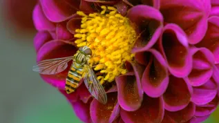 Fot. Adobe Stock